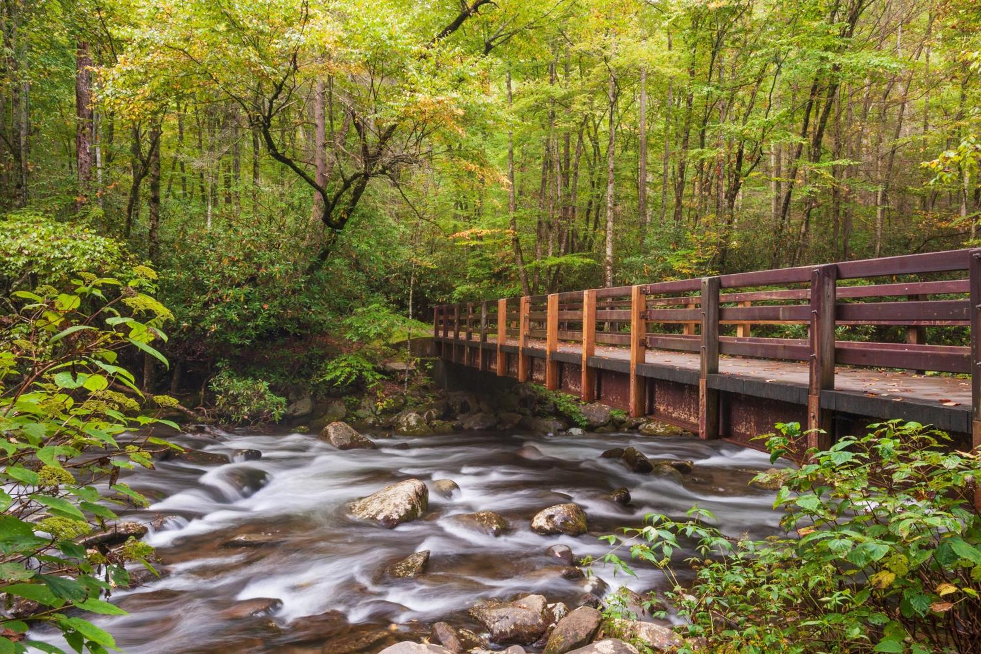 Mountain Eden, Hot Tub, Resort Pool, Wifi, 1089 Free Tickets Each Paid Day, Dollywood And More Гатлінбург Екстер'єр фото